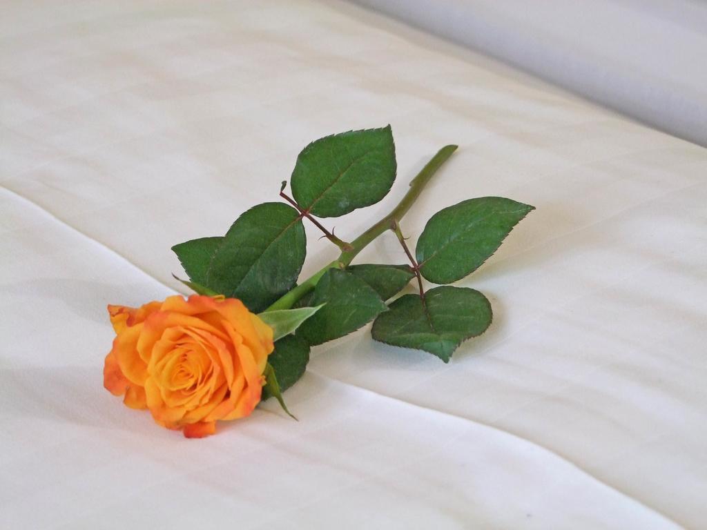 קנזינגן Hotel Beller מראה חיצוני תמונה